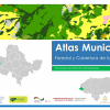 Atlas municipal forestal y cobertura de la tierra Santa Fe